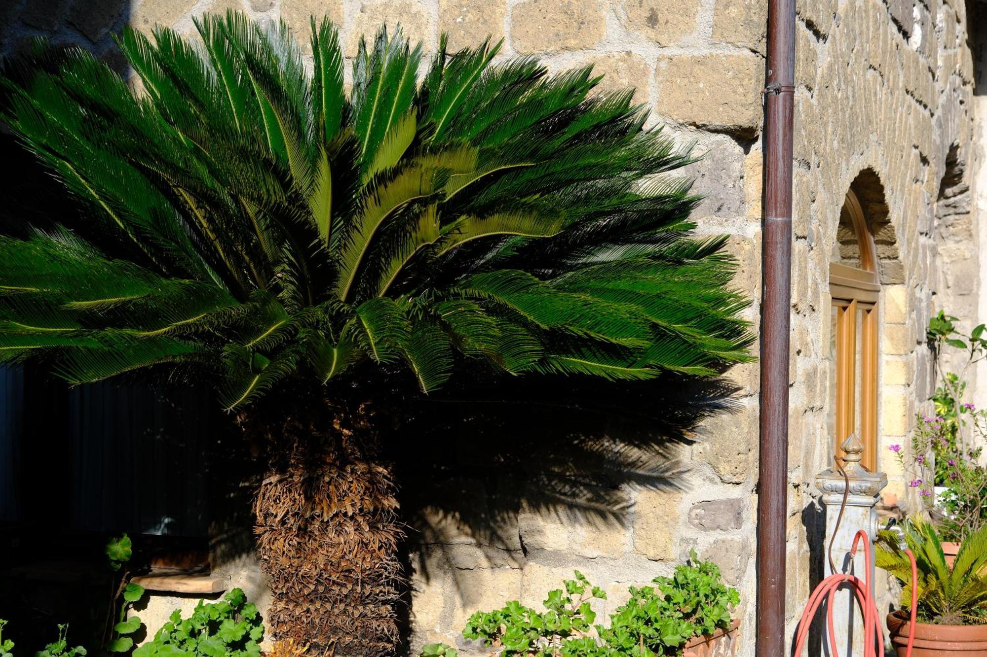 Conte Spencer Bed & Breakfast Caserta Vecchia Exterior photo