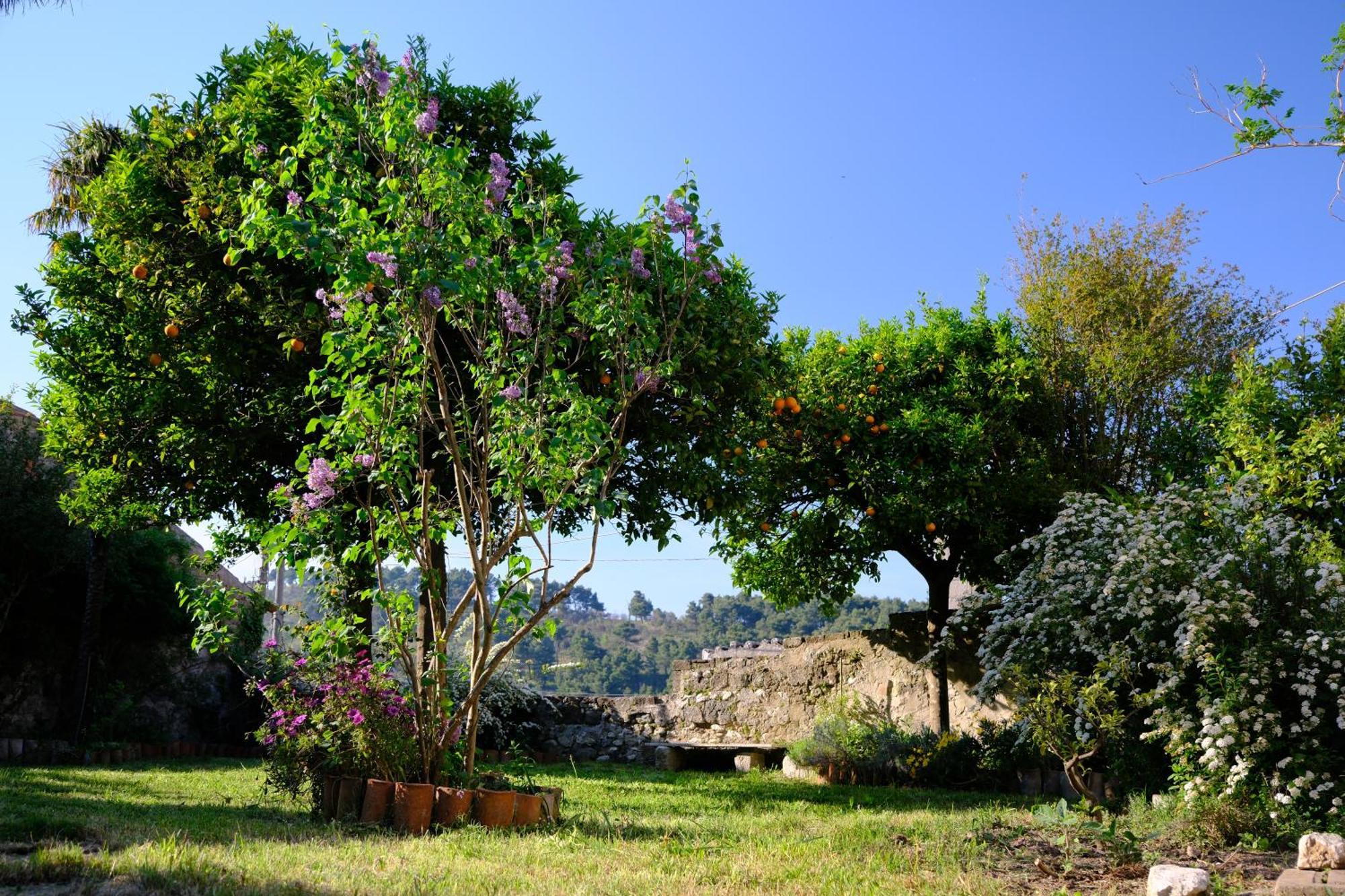 Conte Spencer Bed & Breakfast Caserta Vecchia Exterior photo