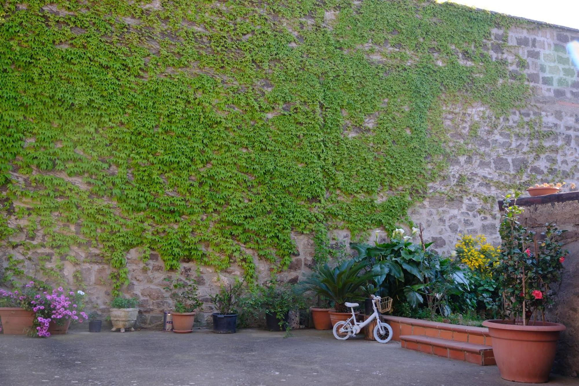 Conte Spencer Bed & Breakfast Caserta Vecchia Exterior photo
